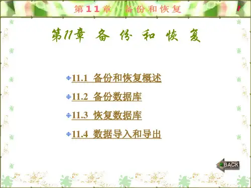 数据库第11章详述