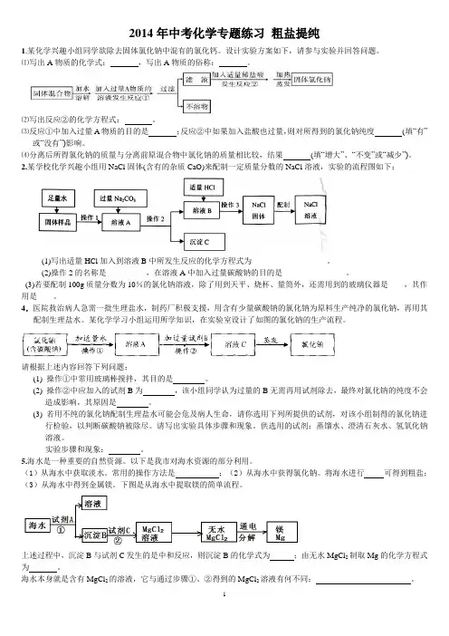 2014年中考化学专题--粗盐提纯