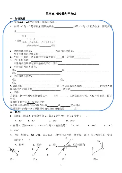 七年级寒假资料预科