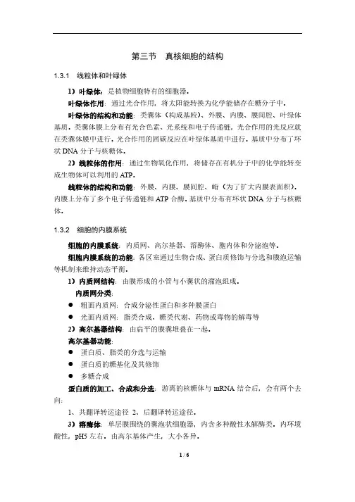 真核细胞的结构