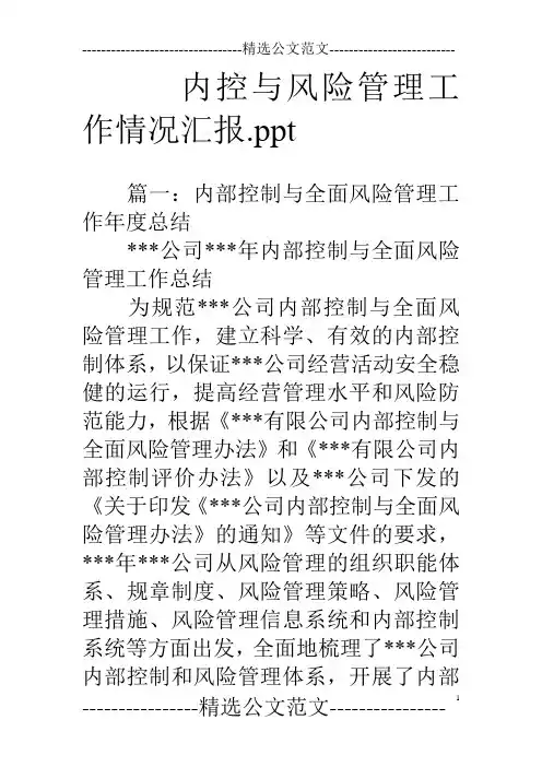内控与风险管理工作情况汇报.ppt