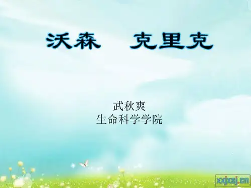 沃森 克里克