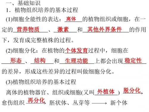 人教版高中生物选修一专题3课题1《菊花的组织培养》 课件 (共66张PPT)