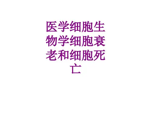 医学细胞生物学细胞衰老和细胞死亡优质PPT课件