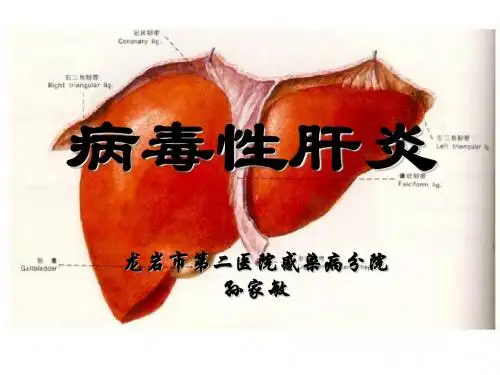 病毒性肝炎