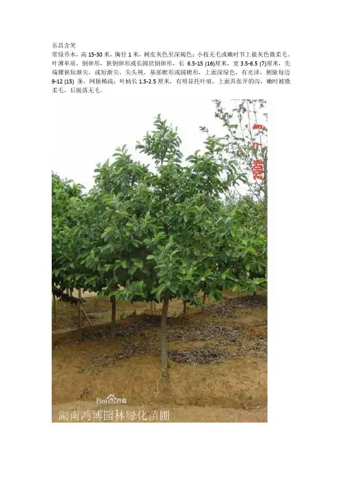 云南居住小区常用植物表(3)