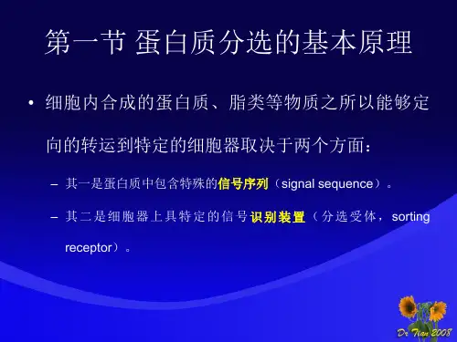 蛋白质分选
