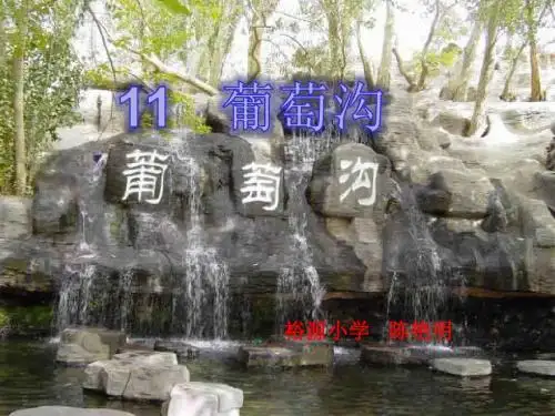 11葡萄沟(第二课时)