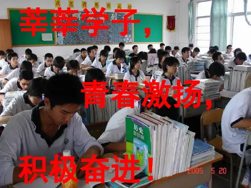 成语运用专题训练