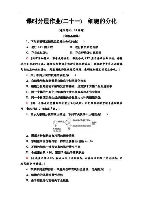 2019-2020同步新教材人教生物必修一新突破课时分层作业：21 细胞的分化 Word版含解析