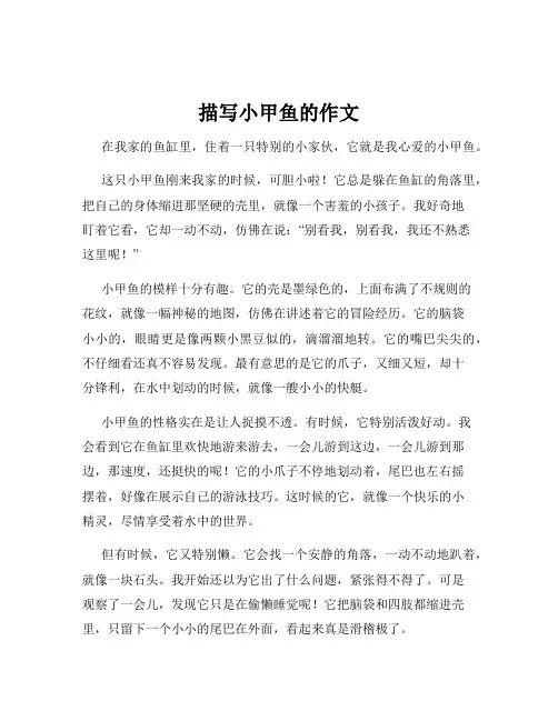 描写小甲鱼的作文