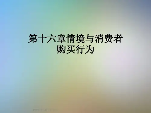 第十六章情境与消费者购买行为