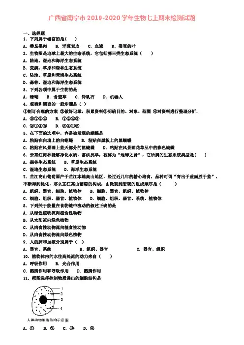 广西省南宁市2019-2020学年生物七上期末检测试题