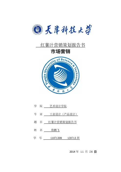 市场营销策划报告