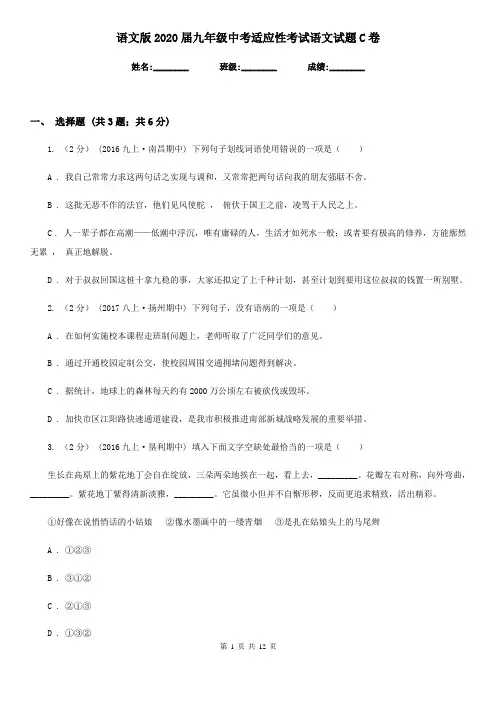 语文版2020届九年级中考适应性考试语文试题C卷