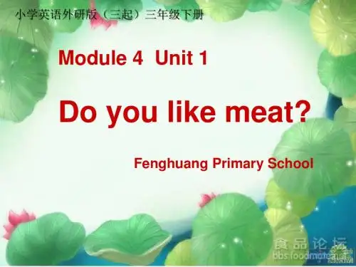 小学英语外研版(三起)三年级下册Doyoulikemeat