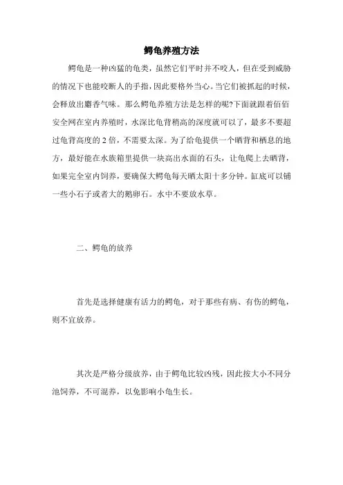 鳄龟养殖方法