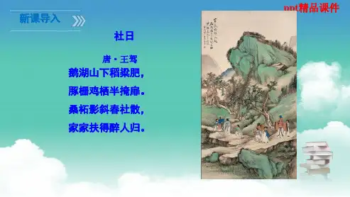 人教版八年级语文下册1《社戏》ppt优质课件
