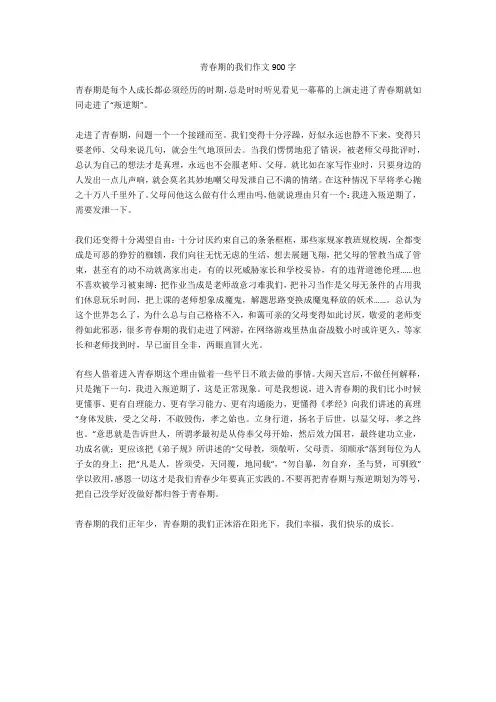 青春期的我们作文900字完美版