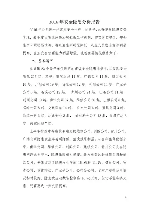2016年安全隐患分析报告