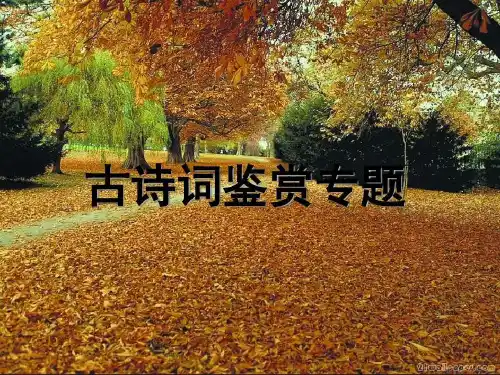 古诗词鉴赏专题ppt讲解学习共62页文档