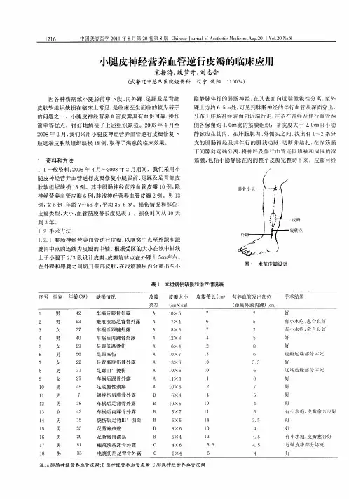 小腿皮神经营养血管逆行皮瓣的临床应用
