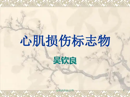 心肌损伤标志物课件