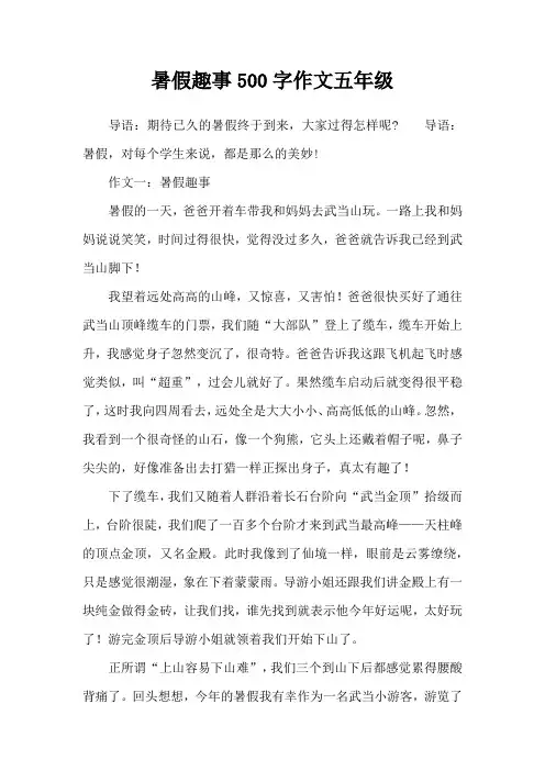 暑假趣事500字作文五年级