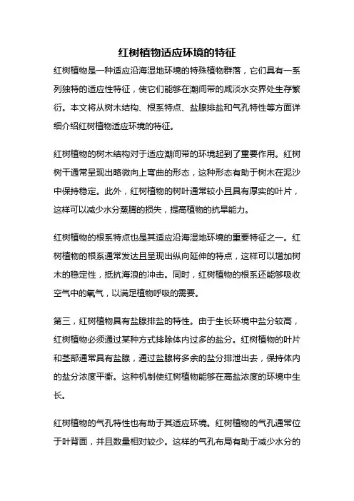 红树植物适应环境的特征