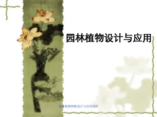园林植物种植设计与应用剖析