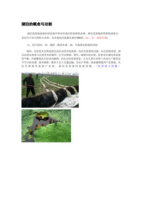 湖泊的概念与功能