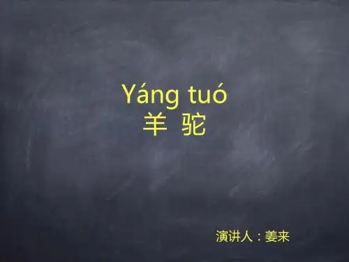 羊驼--课堂展示