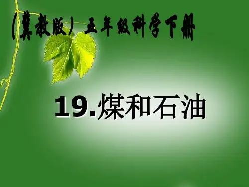 煤与石油-翼教版科学五下精品PPT教学课件
