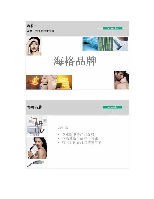 汉斯格雅龙头产品简介解读