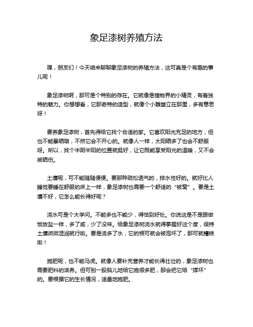 象足漆树养殖方法
