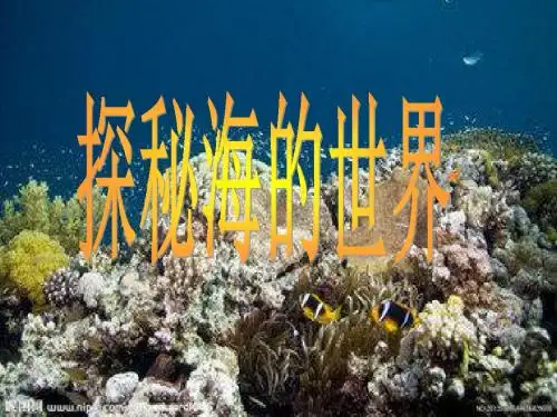 探秘海世界