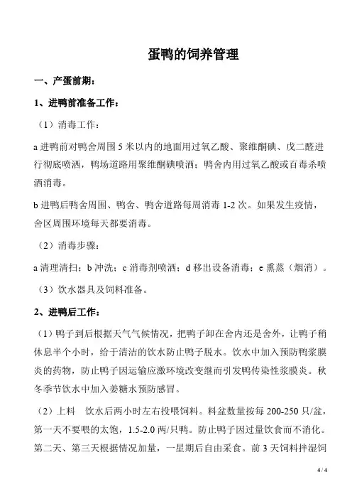 蛋鸭的饲养管理