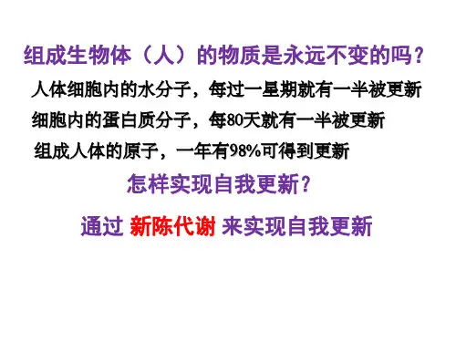 4.1生物体内的化学反应