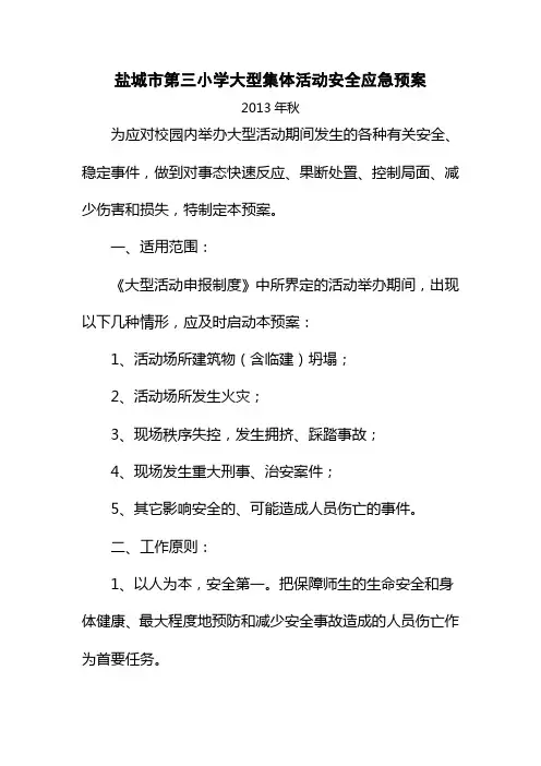 大型集体活动安全应急预案