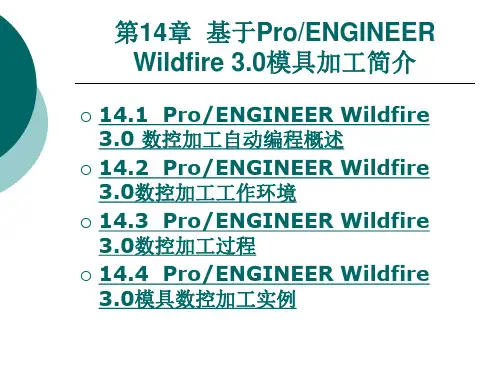 ProENGINEER Wildfire