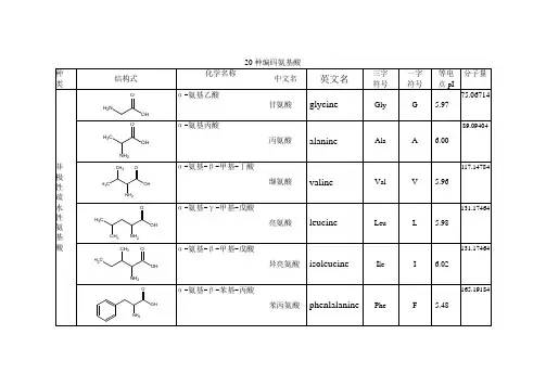 20种编码氨基酸