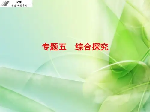 2017届中考化学综合探究专题总复习(2)最新版最新版