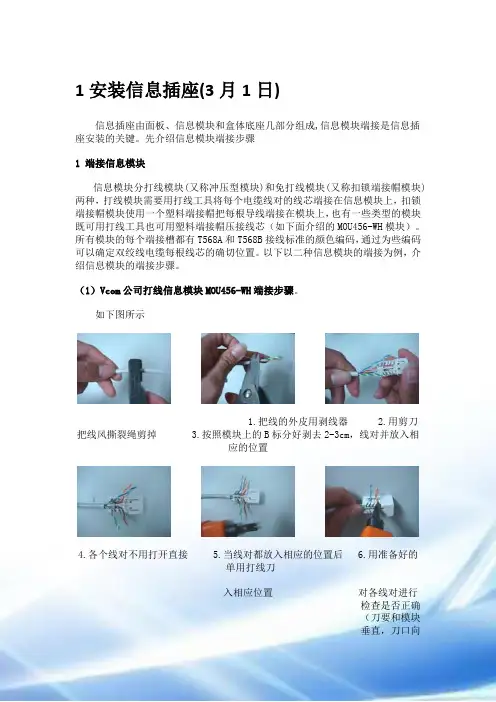 综合布线--实训报告内容