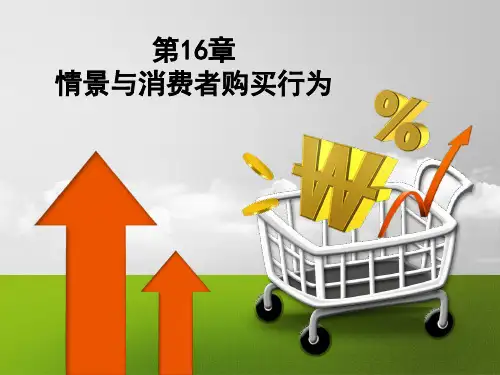 第16章情景与消费者购买PPT课件