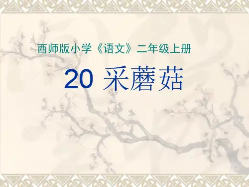 西师大版语文二年级上册第11课《采蘑菇》课件1