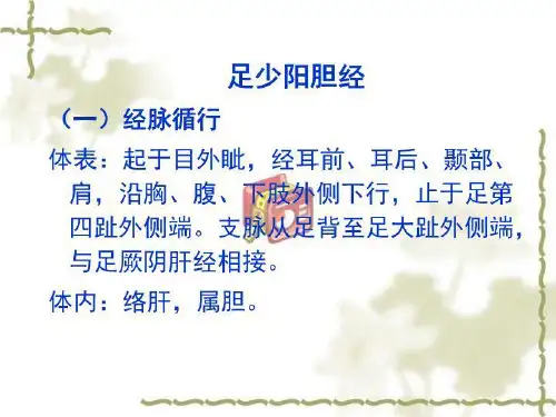 针灸 穴位 经络 介绍——足少阳胆经(精选)