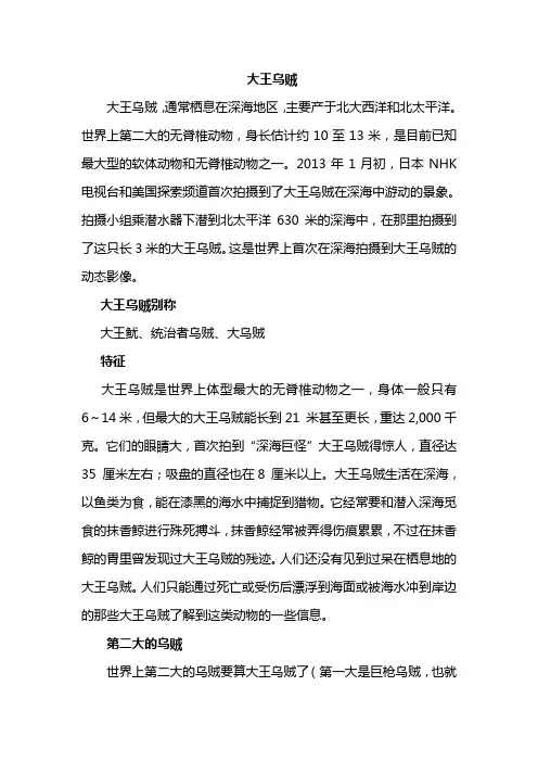 大王乌贼资料大全