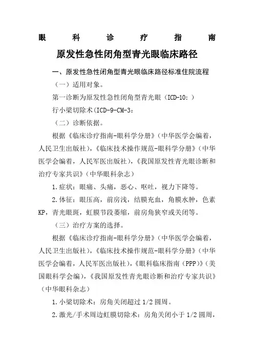 眼科诊疗指南