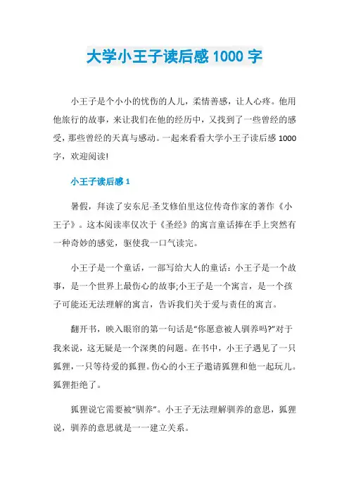 大学小王子读后感1000字