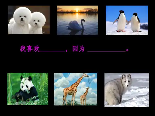 小绿狼绘本ppt课件